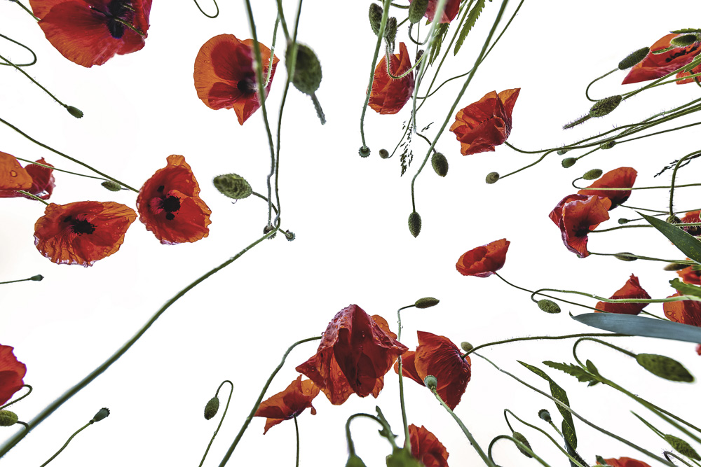 Platz 5 Robert Seitz